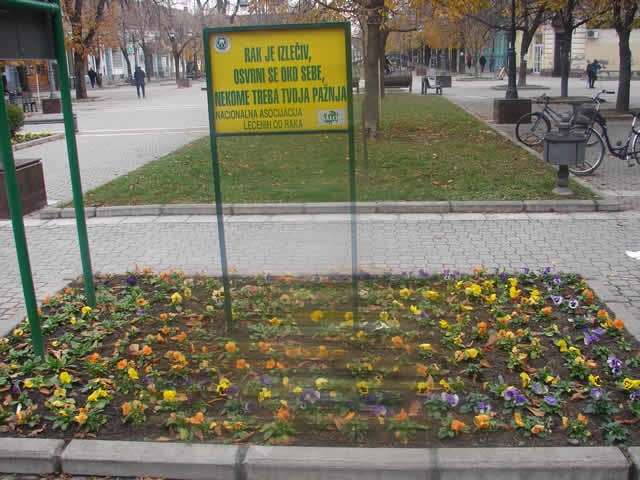 Park dostojanstva u Apatinu