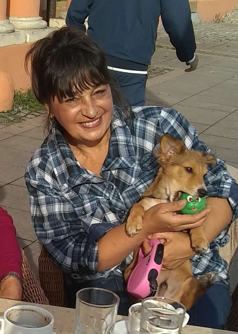IMAM RAK DOJKE, POBEDIĆU GA! (treći nastavak)