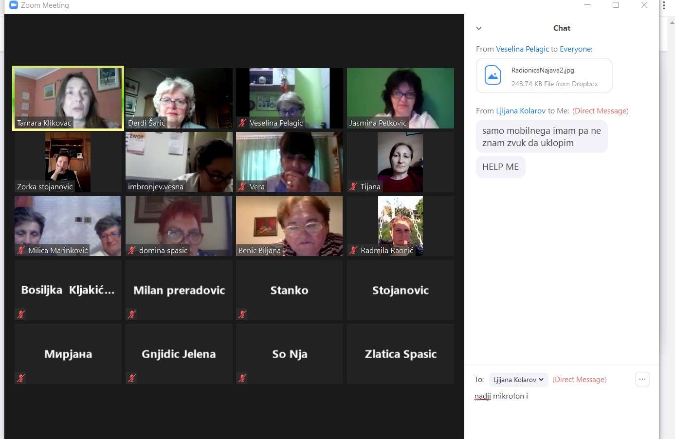 Videokonferencija o mentalnom zdravlju