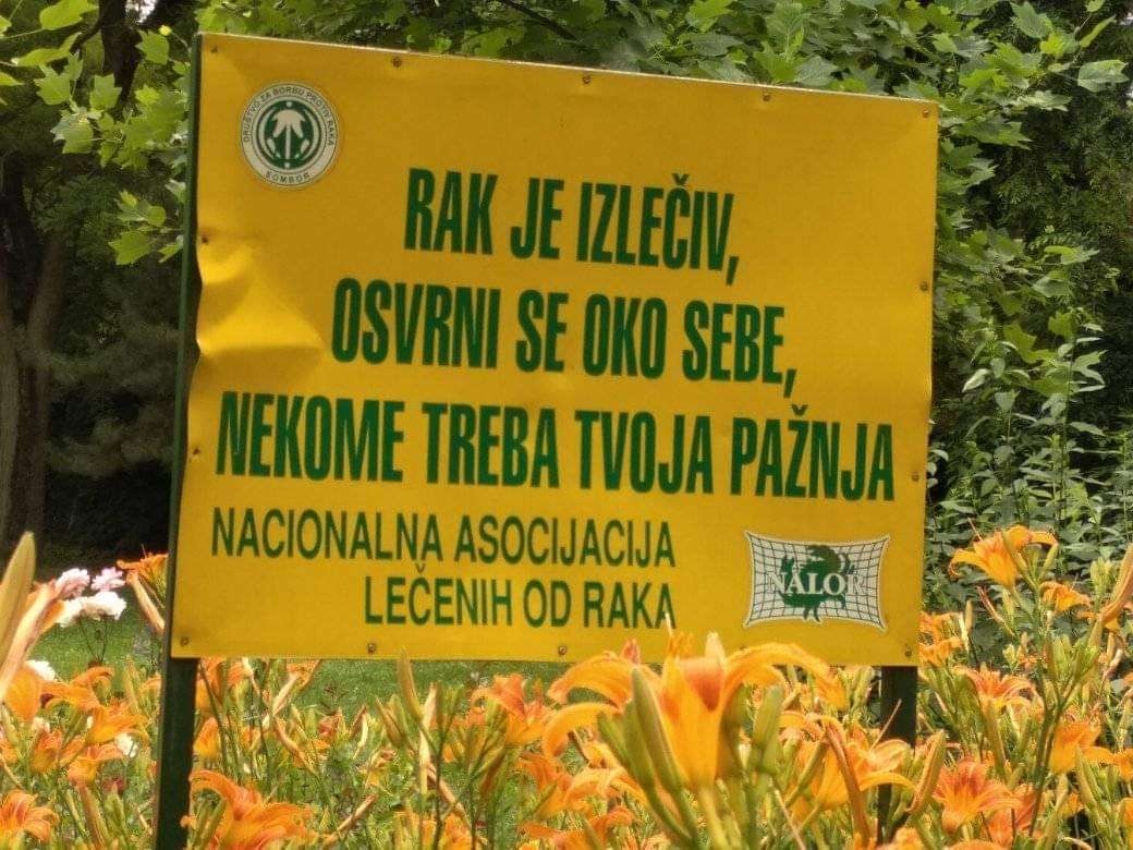 Druženje sredom i tokom godišnjih odmora